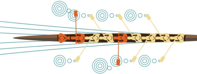 rowboat showing Orgametrics semi-alignment